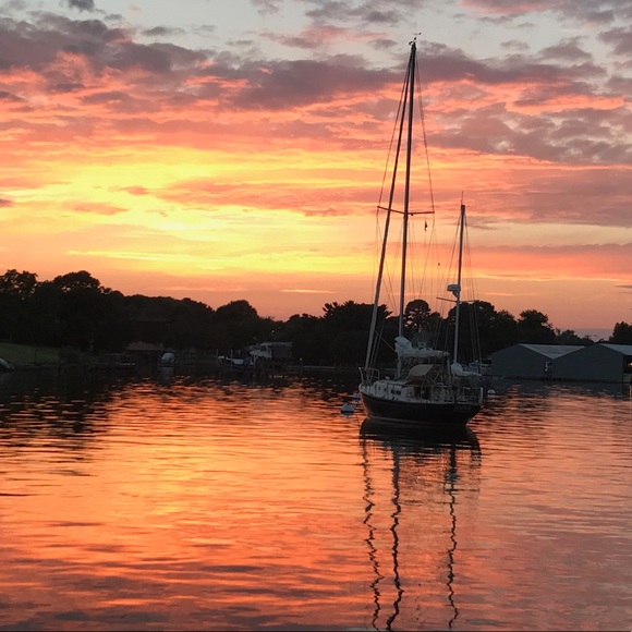 Meet your Posher, Tipper - Picture 2 of 4